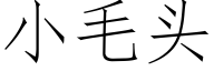 小毛头 (仿宋矢量字库)