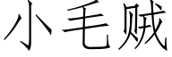 小毛贼 (仿宋矢量字库)