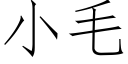 小毛 (仿宋矢量字庫)