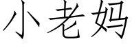 小老妈 (仿宋矢量字库)