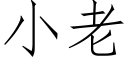 小老 (仿宋矢量字庫)