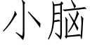 小腦 (仿宋矢量字庫)