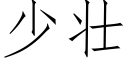 少壯 (仿宋矢量字庫)