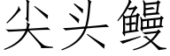 尖头鳗 (仿宋矢量字库)