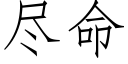 盡命 (仿宋矢量字庫)