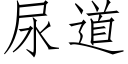 尿道 (仿宋矢量字库)