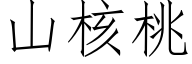 山核桃 (仿宋矢量字库)