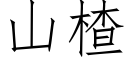 山楂 (仿宋矢量字庫)