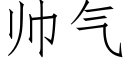 帥氣 (仿宋矢量字庫)