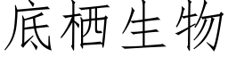 底栖生物 (仿宋矢量字庫)