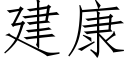 建康 (仿宋矢量字库)