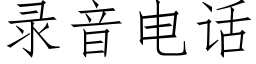 錄音電話 (仿宋矢量字庫)