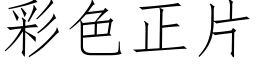 彩色正片 (仿宋矢量字庫)