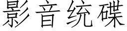 影音统碟 (仿宋矢量字库)