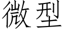 微型 (仿宋矢量字库)