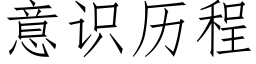 意識曆程 (仿宋矢量字庫)