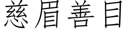 慈眉善目 (仿宋矢量字库)