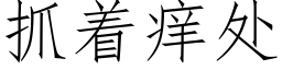 抓着痒处 (仿宋矢量字库)