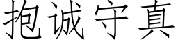 抱诚守真 (仿宋矢量字库)