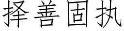 择善固执 (仿宋矢量字库)