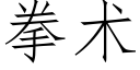 拳術 (仿宋矢量字庫)