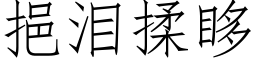 挹泪揉眵 (仿宋矢量字库)