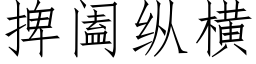 捭阖纵横 (仿宋矢量字库)