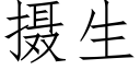 攝生 (仿宋矢量字庫)