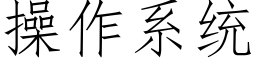 操作系統 (仿宋矢量字庫)