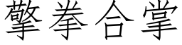 擎拳合掌 (仿宋矢量字庫)