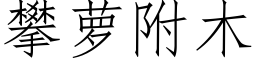 攀蘿附木 (仿宋矢量字庫)