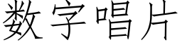 數字唱片 (仿宋矢量字庫)