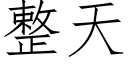 整天 (仿宋矢量字庫)