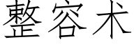 整容術 (仿宋矢量字庫)