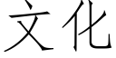 文化 (仿宋矢量字庫)