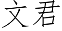 文君 (仿宋矢量字庫)