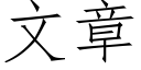 文章 (仿宋矢量字庫)