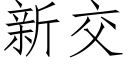 新交 (仿宋矢量字庫)