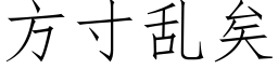 方寸乱矣 (仿宋矢量字库)