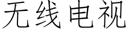 无线电视 (仿宋矢量字库)