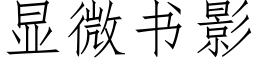 顯微書影 (仿宋矢量字庫)