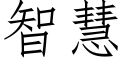 智慧 (仿宋矢量字庫)