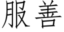 服善 (仿宋矢量字库)