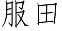 服田 (仿宋矢量字库)