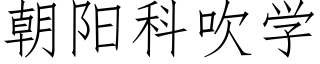 朝阳科吹学 (仿宋矢量字库)