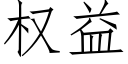 權益 (仿宋矢量字庫)