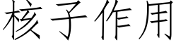 核子作用 (仿宋矢量字庫)