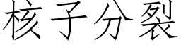 核子分裂 (仿宋矢量字庫)