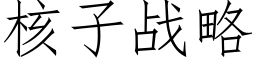 核子战略 (仿宋矢量字库)