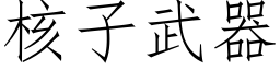 核子武器 (仿宋矢量字庫)